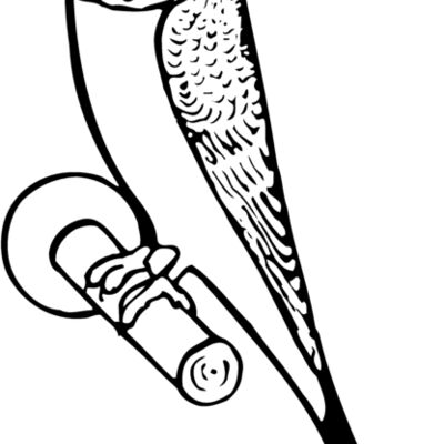 BIRD016 Thumbnail