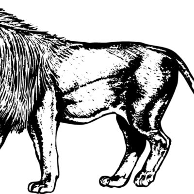 LION003 Thumbnail