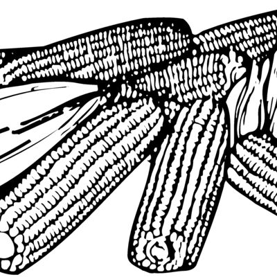 GRAIN005 Thumbnail