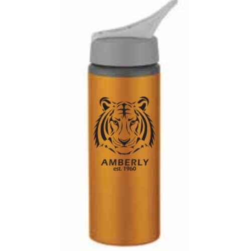 Amberly Metal Water Bottle Thumbnail