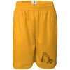 Men's Pro Mesh 9" Shorts Thumbnail