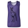 Youth Pro Mesh Reversible Tank Top Thumbnail